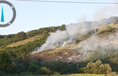 Incendiu de vegetație, miercuri seara, în apropierea localității Sântioana din comuna Țaga