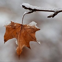 Prognoza meteo, 29 septembrie. Ne așteaptă un început de săptămână răcoros. Temperaturi scăzute, ploi și ninsori în unele regiuni