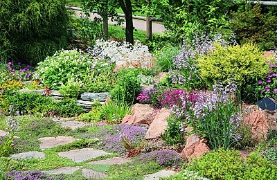 Arbuști de plantat toamna: top 5 specii (ornamentale și fructifere) pentru un start viguros în primăvară