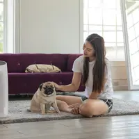 Aerul condiționat portabil: tipuri, avantaje și dezavantaje