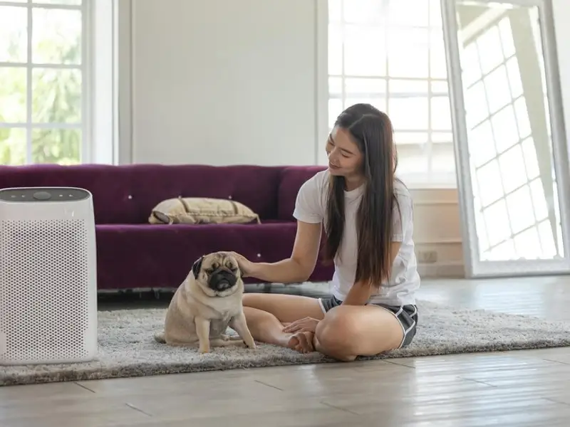 Aerul condiționat portabil: tipuri, avantaje și dezavantaje