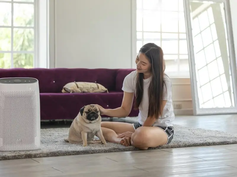 Aerul condiționat portabil: tipuri, avantaje și dezavantaje