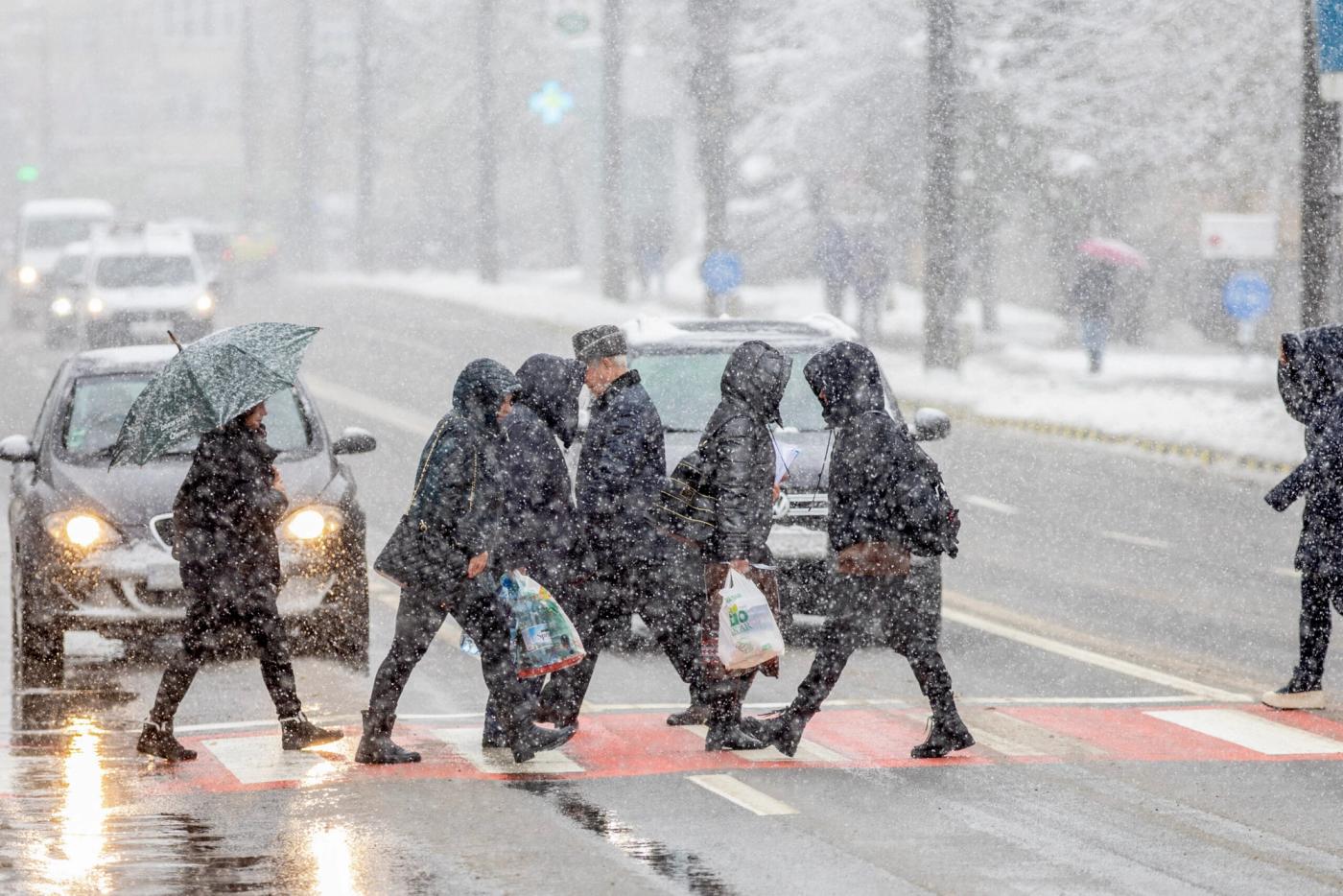 E oficial, vin ninsorile în România. ANM, prognoza meteo pentru luna februarie