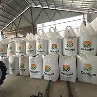 Investiţie de 5 milioane de euro într-un hub logistic agricol modern în Balș