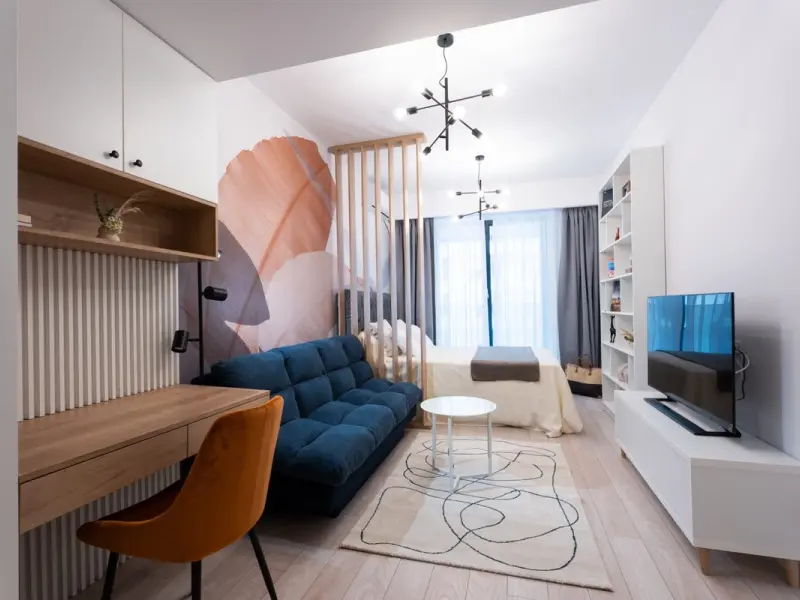 O garsoniera cocheta pentru un tanar student