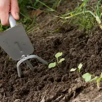 Lucrari pregatitoare in gradina – afanarea solului