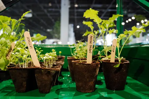 Solutii de depozitare in exterior