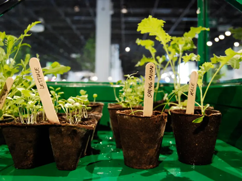 Solutii de depozitare in exterior