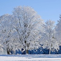 Prognoza meteo, 15 ianuarie. Aerul polar îngheață România