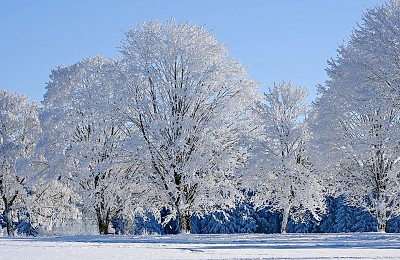 Prognoza meteo, 15 ianuarie. Aerul polar îngheață România