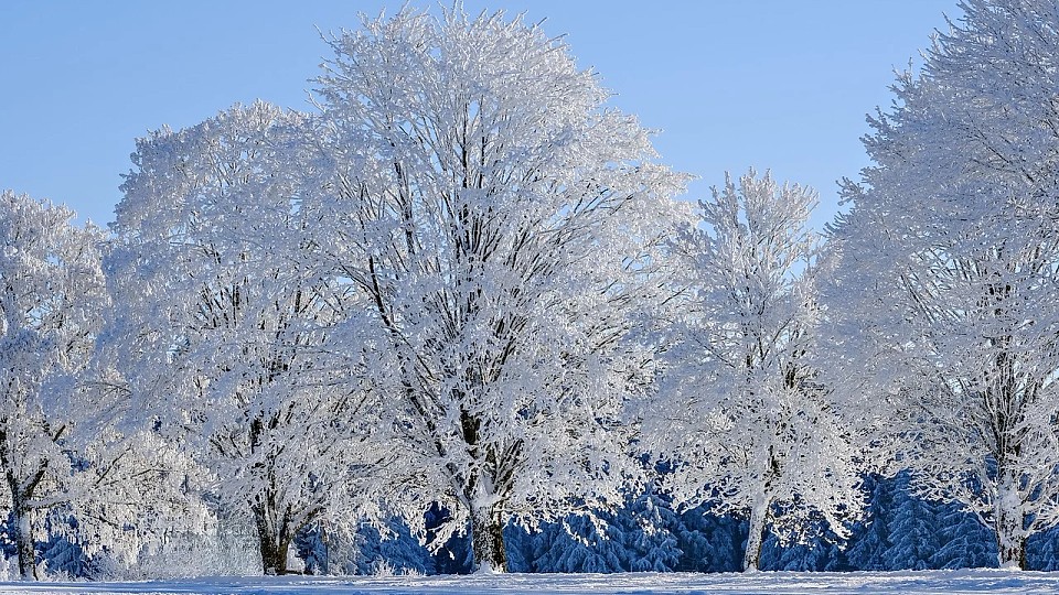 Prognoza meteo, 15 ianuarie. Aerul polar îngheață România