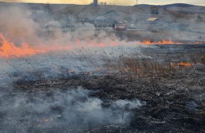 Mai multe incendii au cuprins în ultima perioadă vegetația uscată. Atenționare a pompierilor clujeni!