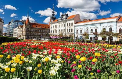 Azi, 15 aprilie, vreme extrem de frumoasă la Cluj. Temperatura maximă va fi 29 de grade