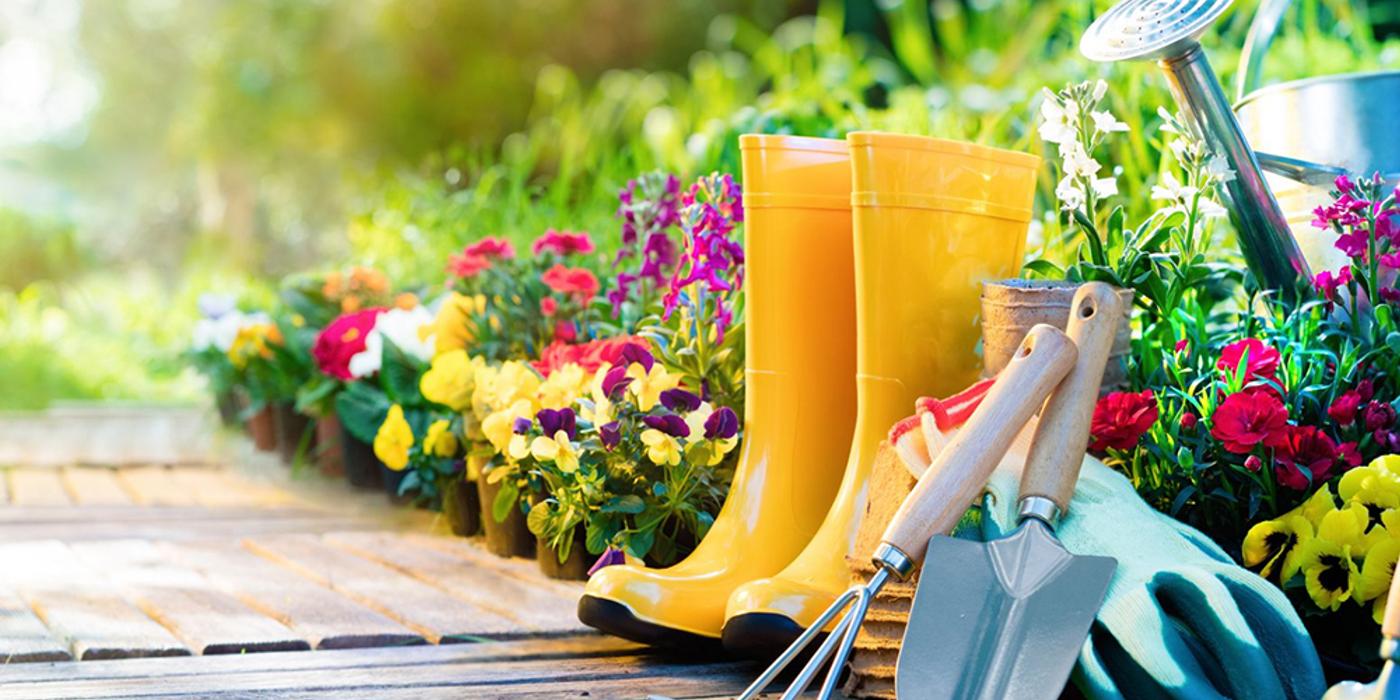 Cum a devenit plasa umbrire un accesoriu indispensabil pentru agricultori