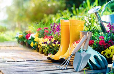 Cum a devenit plasa umbrire un accesoriu indispensabil pentru agricultori