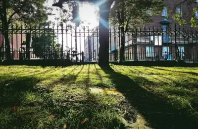 Landscape Architecture and Human Well-being: The Impact of Green Spaces on Mental and Physical Health