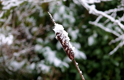 Prognoza meteo, 23 ianuarie. Temperaturi în creștere. Ploi și lapoviță în trei regiuni