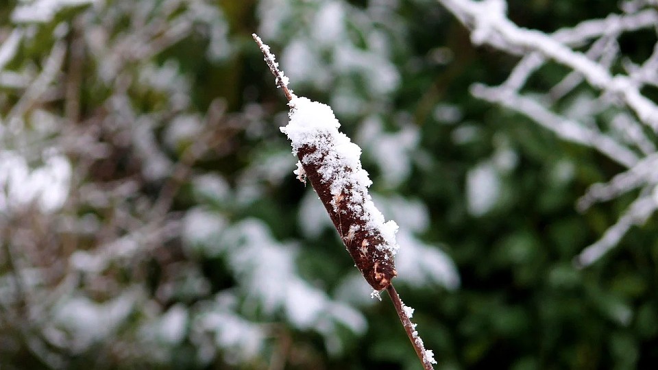 Prognoza meteo, 23 ianuarie. Temperaturi în creștere. Ploi și lapoviță în trei regiuni