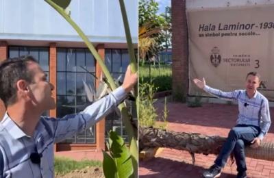 Robert Negoiță a mers la Hala Laminor și le-a prezentat bucureștenilor, prin intermediul unui video, plantele exotice de acolo