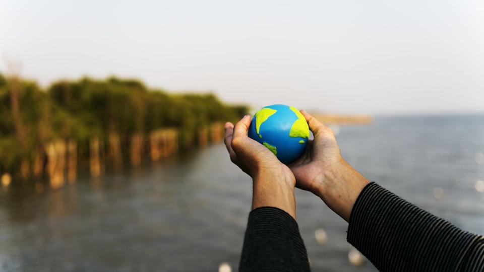 Ziua Depășirii: România și resursele naturale epuizate – cum pot reduce DEEE‑urile ecologic datoria