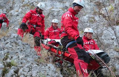 Noi maşini au primit drept de GIROFAR.