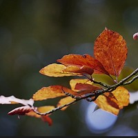 Prognoza meteo, 24 octombrie. Vreme capricioasă la început de weekend. Temperaturile scad semnificativ în toată țara