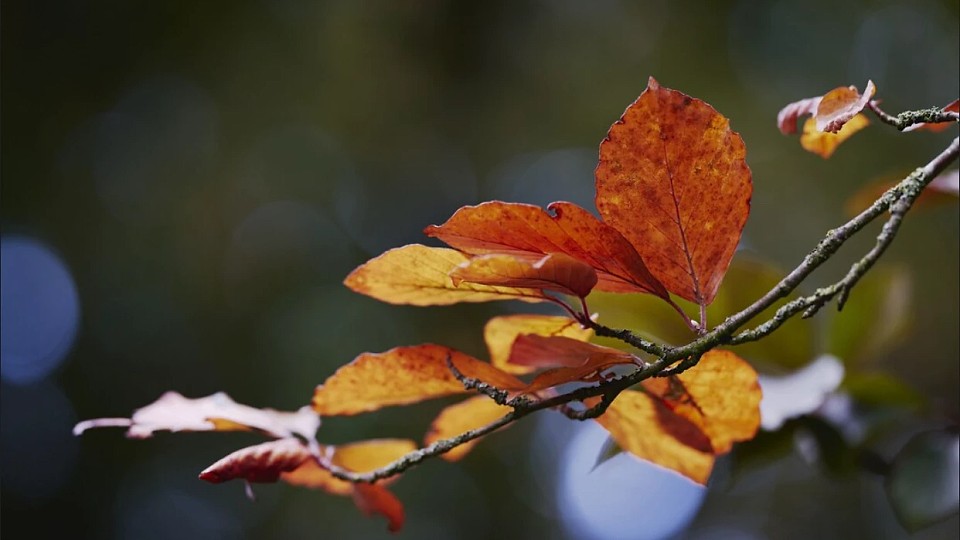 Prognoza meteo, 24 octombrie. Vreme capricioasă la început de weekend. Temperaturile scad semnificativ în toată țara