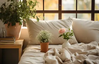 Cum somnul poate devenii mai odihnitor cu plantele in dormitor
