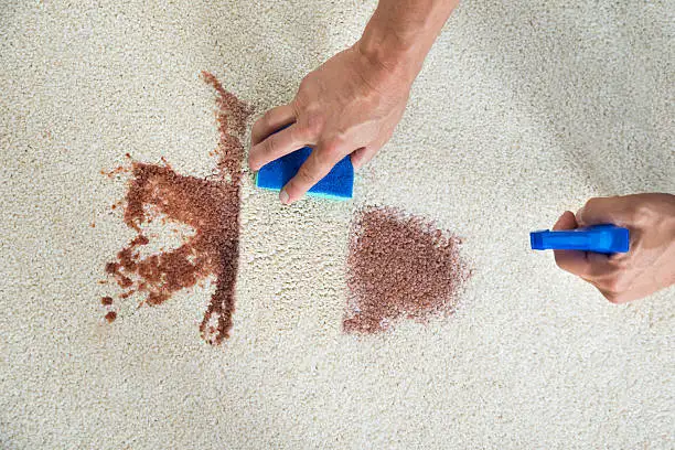 Solutions for Removing Old Stains from Carpets