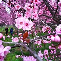 Prognoza meteo, 25 aprilie. Vremea se încălzește în prima zi de weekend. Temperaturi de până la 23 de grade în țară