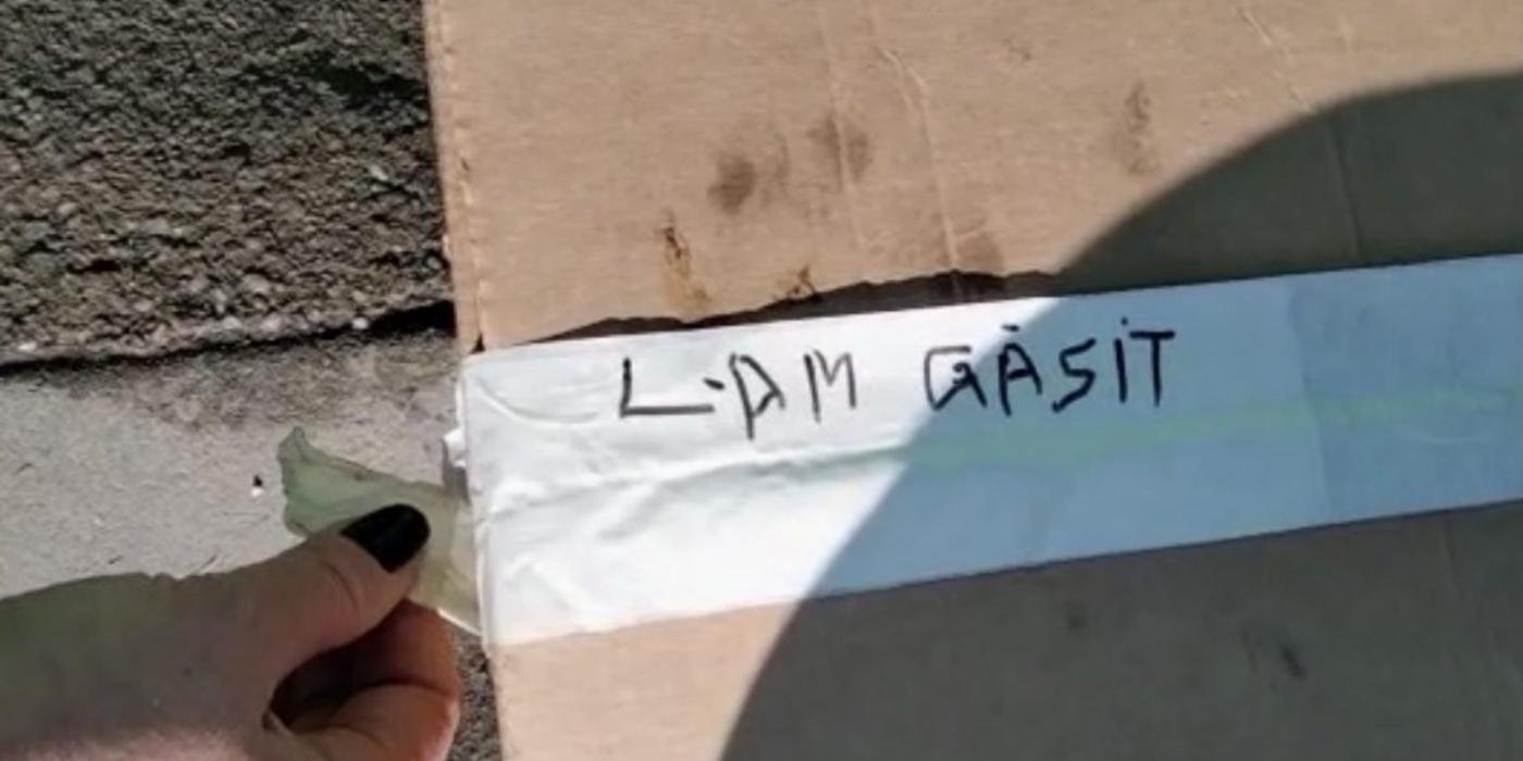 Tarzan, cățelușul din adăpostul Arca lui Noe din județul Cluj așteaptă să-și găsească o familie iubitoare