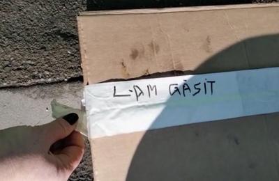 Tarzan, cățelușul din adăpostul Arca lui Noe din județul Cluj așteaptă să-și găsească o familie iubitoare