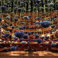 Florile suspendate in aer un spectacol fantastic de culori, creatii Rebecca Louise Law