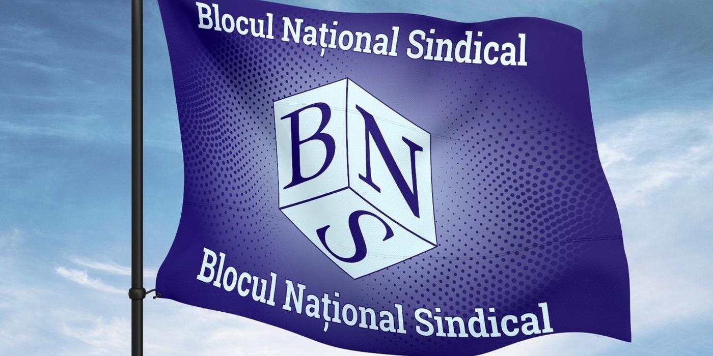 BNS: Angajaţii români au o sarcină fiscală similară mediei europene, în timp ce în cazul angajatorilor români şi a altor categorii de persoane ce obţin venituri, altele decât cele din muncă, situaţia este asemănătoare unui paradis fiscal