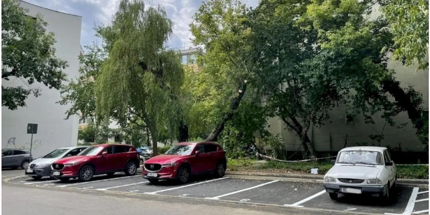 A fost început un amplu program prin care se vrea crearea de noi locuri de parcare de reședință în Sectorul 1