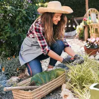 Idei de Amenajare a Grădinii pentru Toate Anotimpurile: Plante, Aranjamente și Elemente Decorative