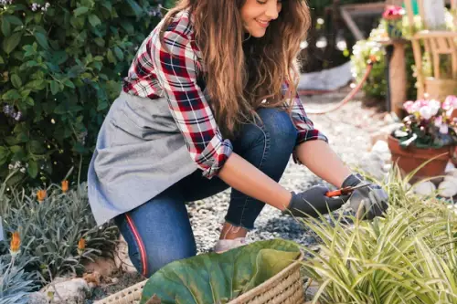 Idei de Amenajare a Grădinii pentru Toate Anotimpurile: Plante, Aranjamente și Elemente Decorative