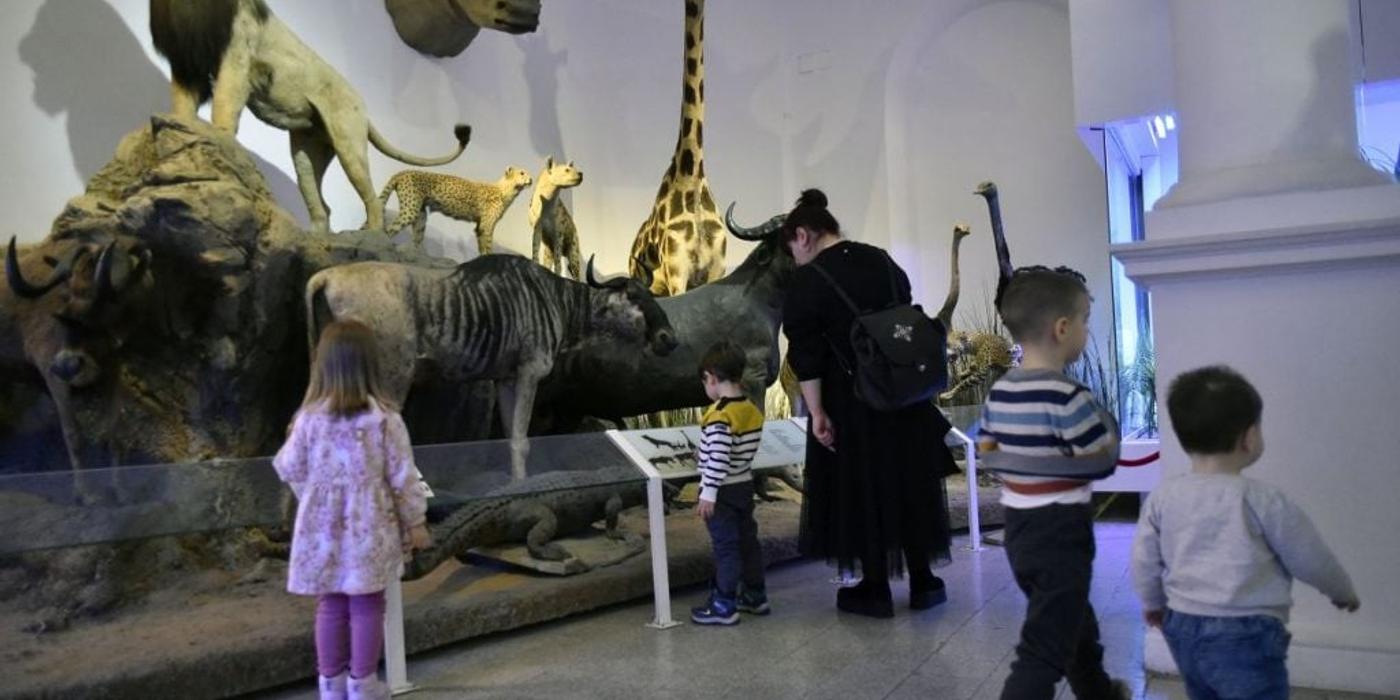 Noaptea Muzeelor 2023. Ce muzee sunt deschise în București și în țară