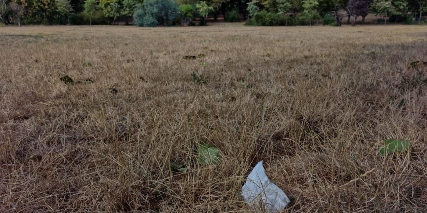 FOTO. În Parcul Circului din București, toată iarba e pârjolită. Rezistă, în schimb, gunoaiele