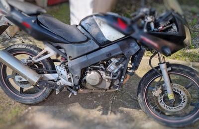 Trei tineri au fost arestați preventiv sub acuzația de furt calificat, comis în Florești