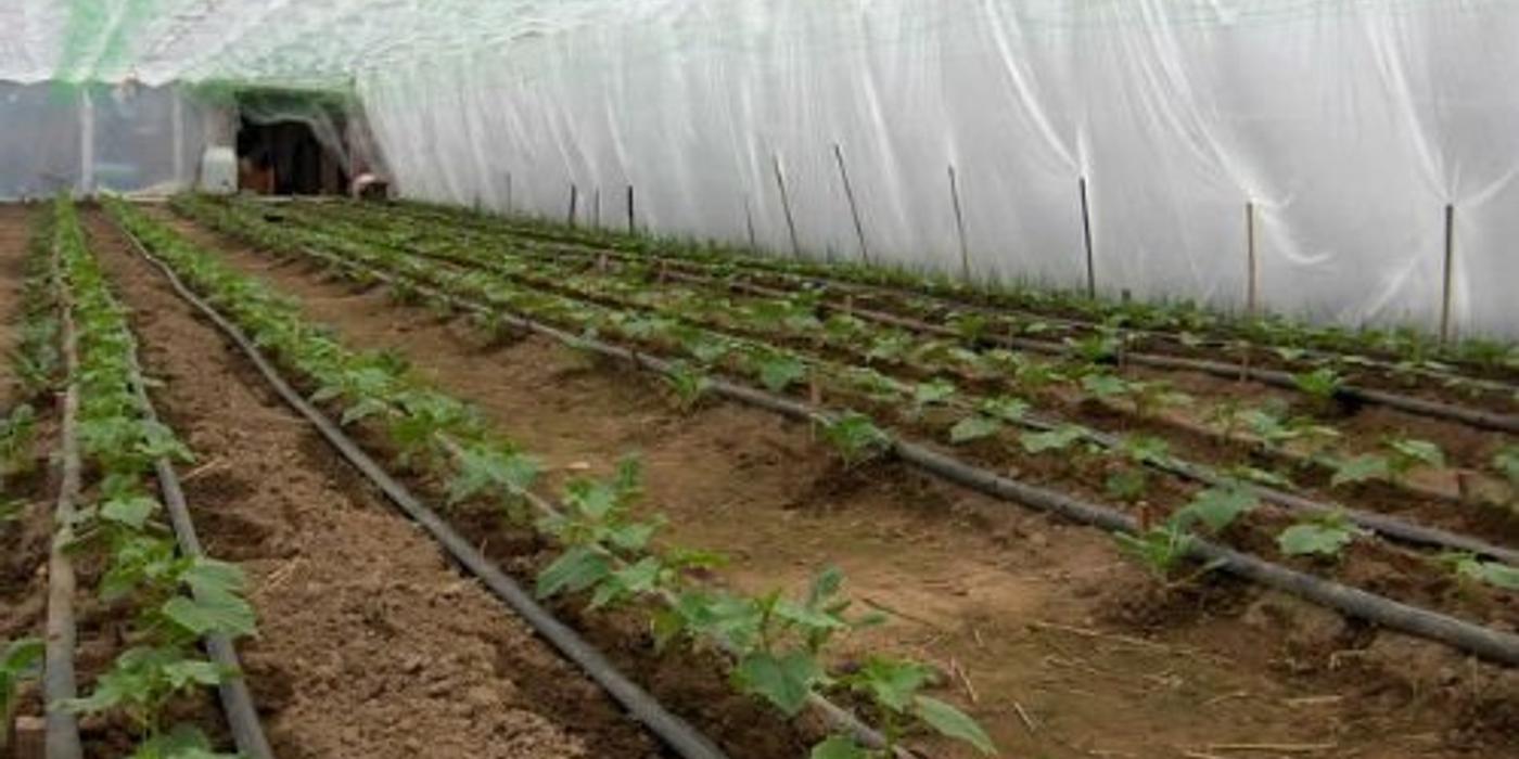 Cauti cele mai bune preturi la foliile pentru solarii? Sunt la un click distanta!