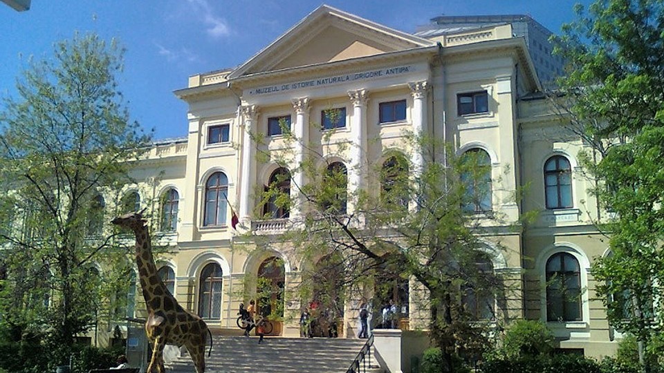 Planuri culturale de Paște? Majoritatea muzeelor din București se închid, dar Antipa rămâne „ancora” vizitatorilor