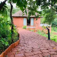 20 de elemente inedite ce pot fi folosite în decorarea casei în stil Eco