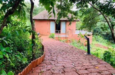 20 de elemente inedite ce pot fi folosite în decorarea casei în stil Eco