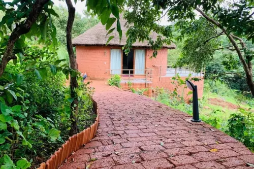 20 de elemente inedite ce pot fi folosite în decorarea casei în stil Eco