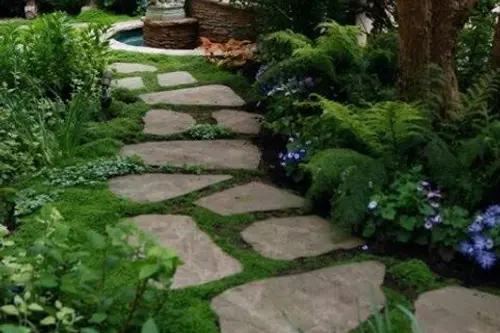 Idei pentru gradina: aleile din piatra