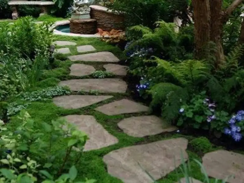 Idei pentru gradina: aleile din piatra