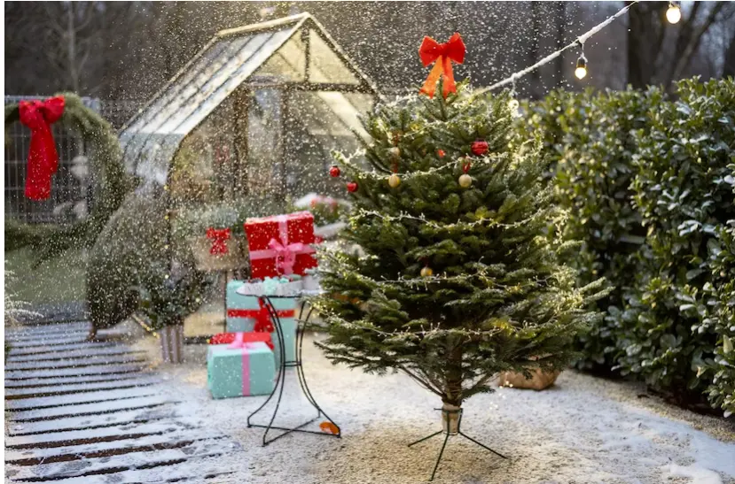 Cum să-ți decorezi grădina de Crăciun? Iată 15 idei interesante în 2023