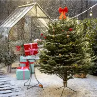 Cum să-ți decorezi grădina de Crăciun? Iată 15 idei interesante în 2023