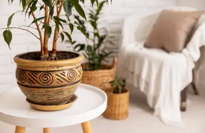 Sfaturi pentru decorarea casei cu elemente naturale